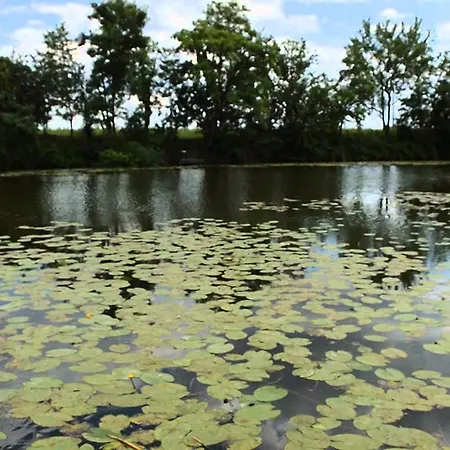 Feriehus Ponty Orso Vendeghaz *